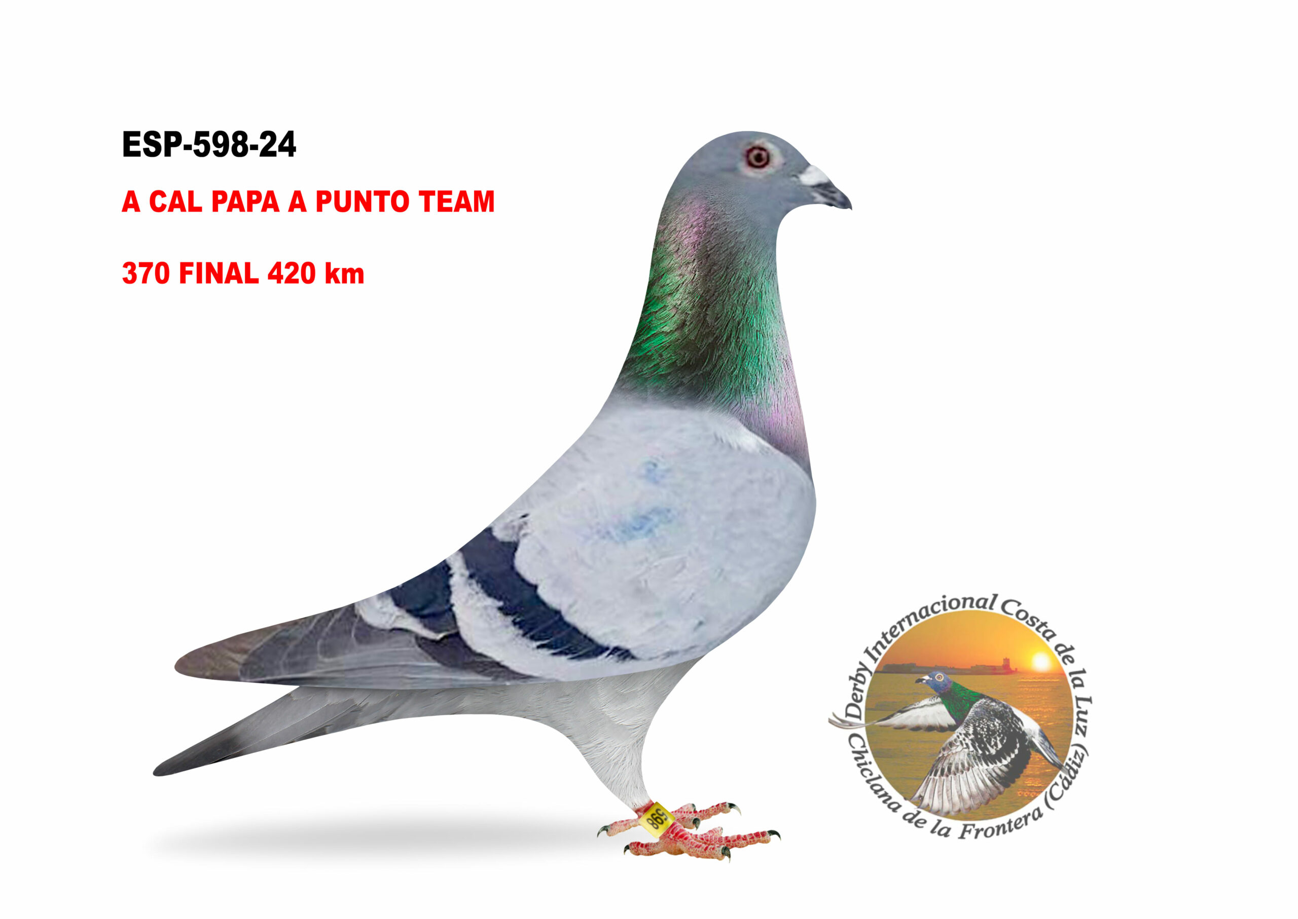 ESP-598/24 - HEMBRA - A CAL PAPA A PUNTO TEAM - 370º CLASIFICADA