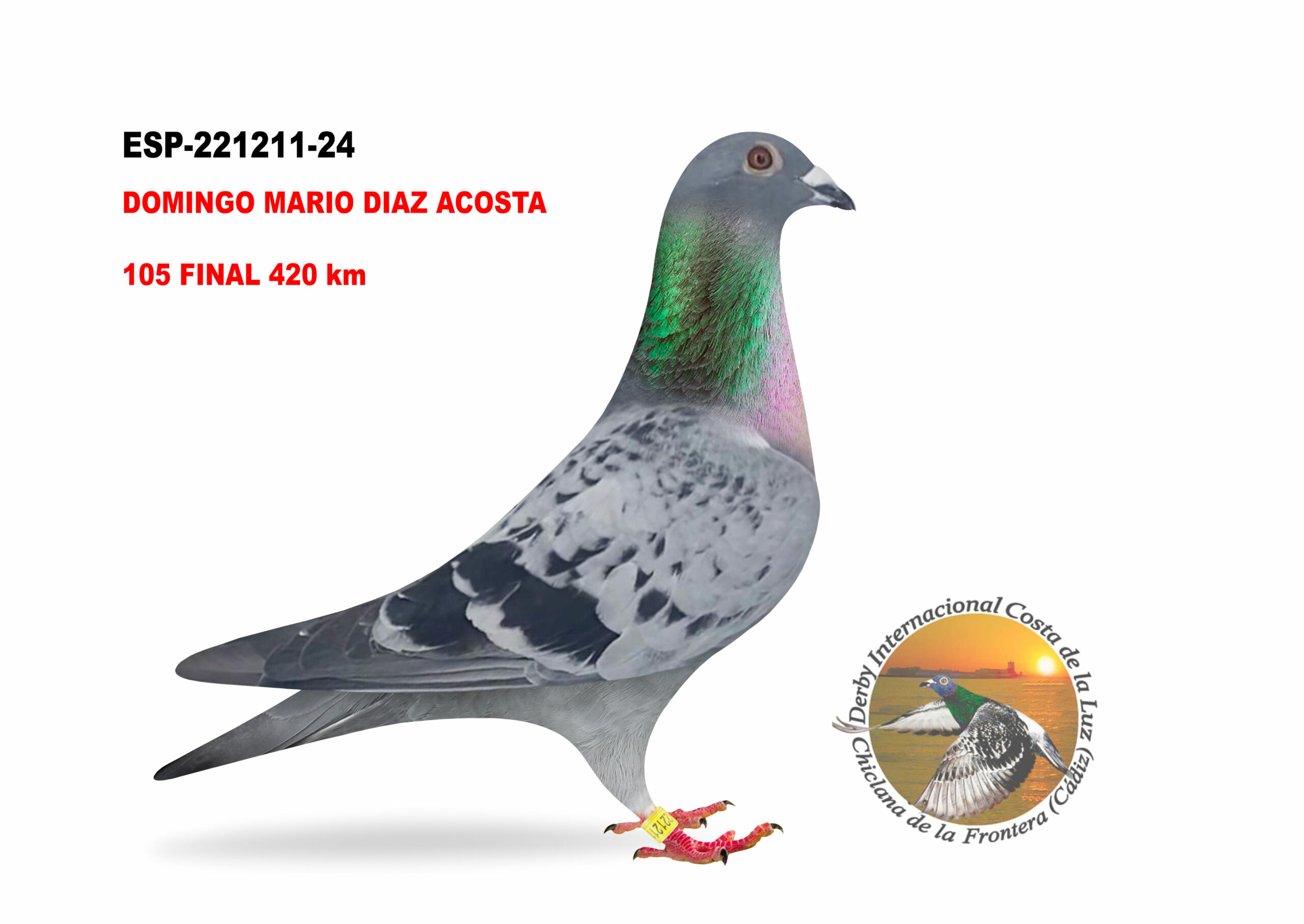 ESP-221211/24 - MACHO - DOMINGO MARIO DIAZ ACOSTA - 105º CLASIFICADA