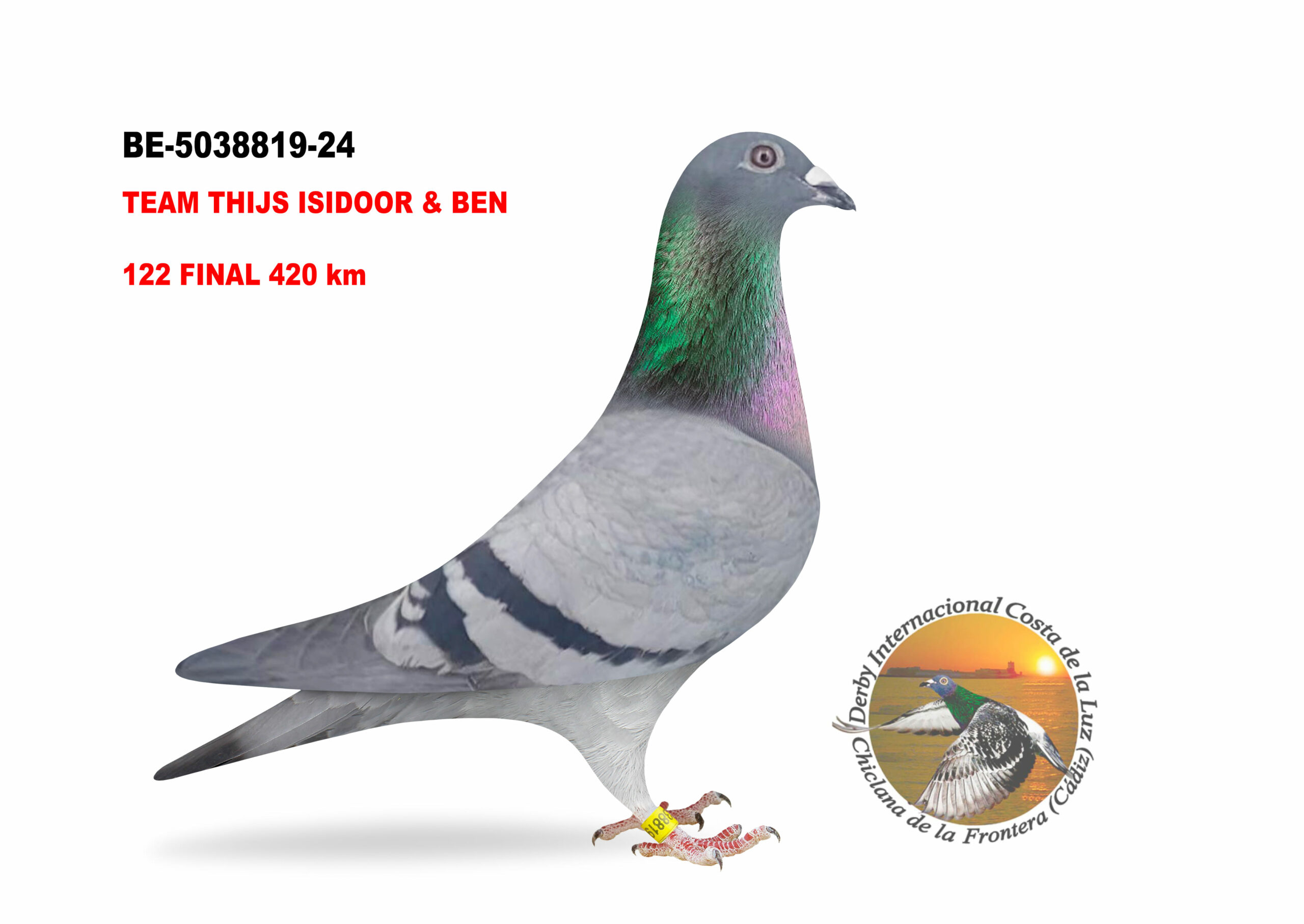 BE-5038819/24 - HEMBRE - TEAM THIJS ISIDOOR & BEN B  - 122º CLASIFICADA