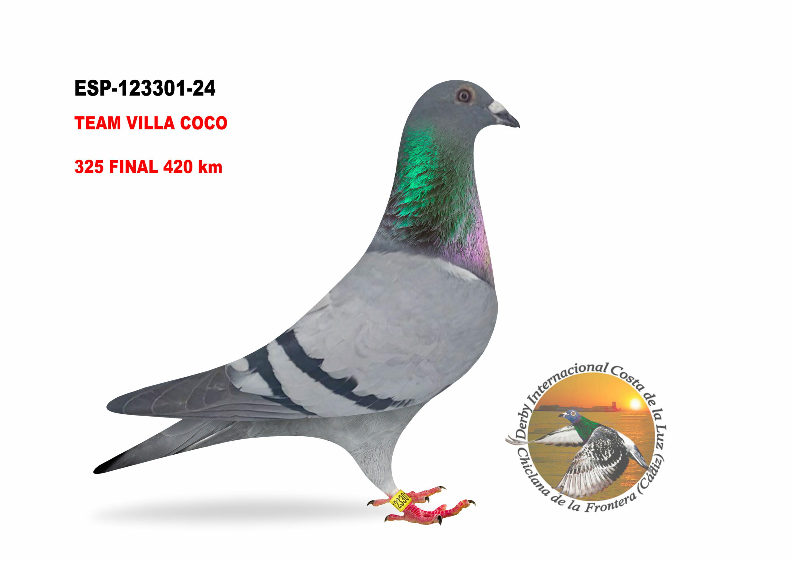 ESP-123301/24 - MACHO -TEAM VILLA COCO - 325º CLASIFICADA