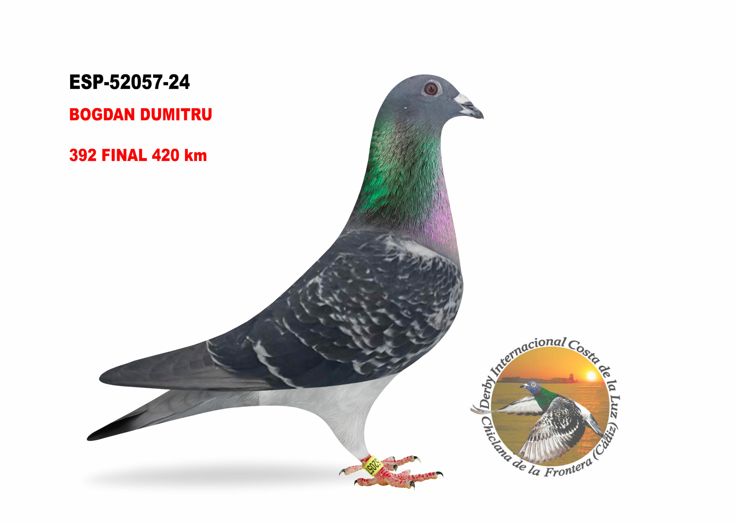 ESP-52057/24 - MACHO - BOGDAN DUMITRU  - 392º CLASIFICADA